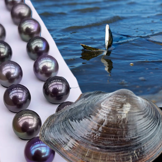 10–13mm Vivid Purple Edison Pearl(10-13mm妖紫色爱迪生珍珠)